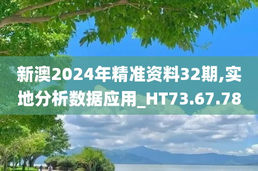 新澳2024年精准资料32期,实地分析数据应用_HT73.67.78