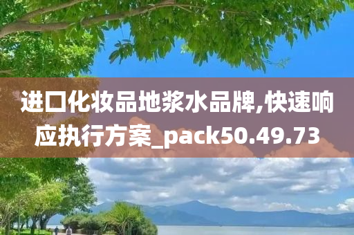 进囗化妆品地浆水品牌,快速响应执行方案_pack50.49.73