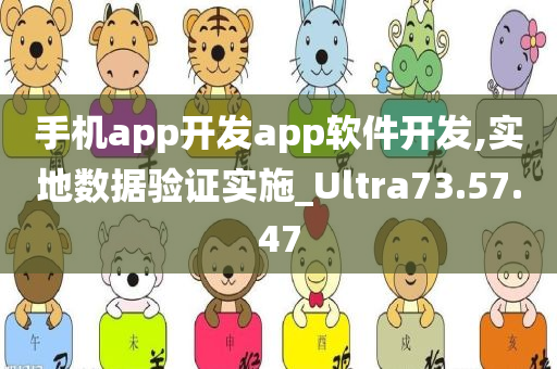 手机app开发app软件开发,实地数据验证实施_Ultra73.57.47