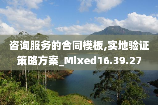 咨询服务的合同模板,实地验证策略方案_Mixed16.39.27