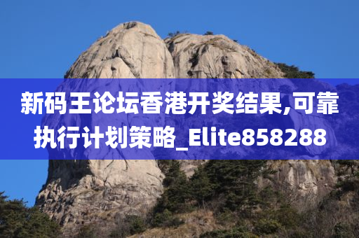 新码王论坛香港开奖结果,可靠执行计划策略_Elite858288