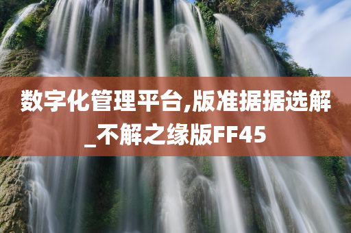 数字化管理平台,版准据据选解_不解之缘版FF45