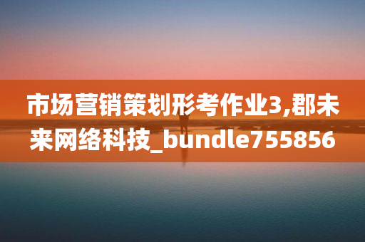 市场营销策划形考作业3,郡未来网络科技_bundle755856