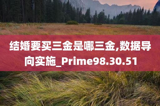 结婚要买三金是哪三金,数据导向实施_Prime98.30.51