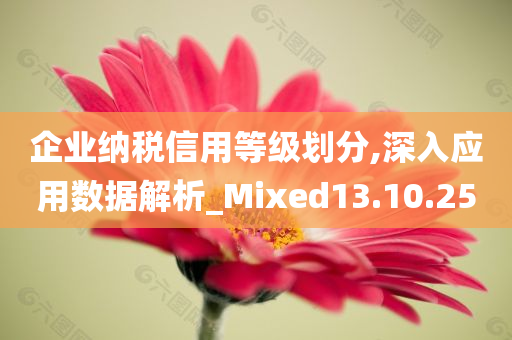 企业纳税信用等级划分,深入应用数据解析_Mixed13.10.25