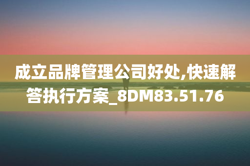 成立品牌管理公司好处,快速解答执行方案_8DM83.51.76