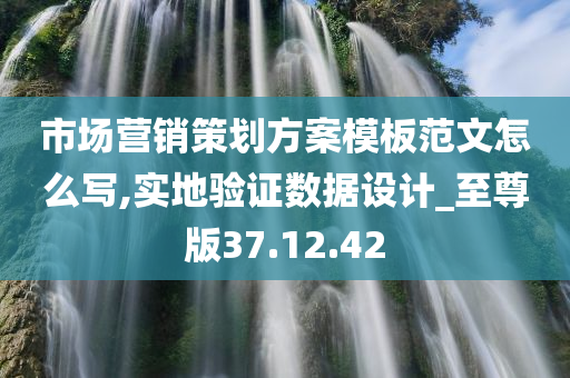 市场营销策划方案模板范文怎么写,实地验证数据设计_至尊版37.12.42