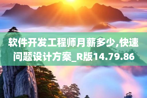 软件开发工程师月薪多少,快速问题设计方案_R版14.79.86