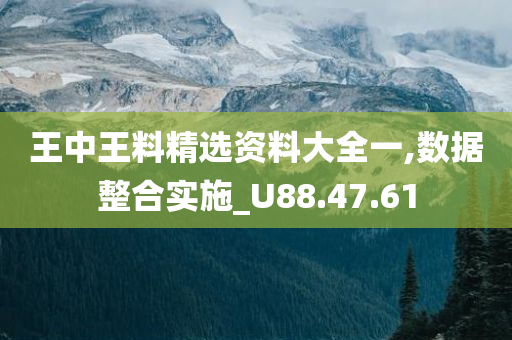 王中王料精选资料大全一,数据整合实施_U88.47.61