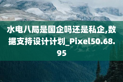 水电八局是国企吗还是私企,数据支持设计计划_Pixel50.68.95