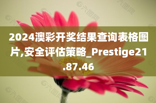 2024澳彩开奖结果查询表格图片,安全评估策略_Prestige21.87.46