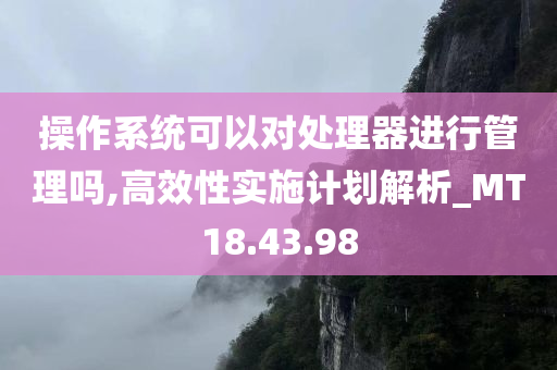 操作系统可以对处理器进行管理吗,高效性实施计划解析_MT18.43.98