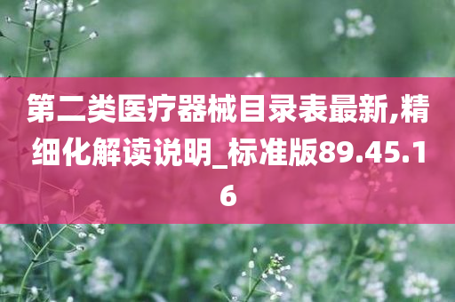 第二类医疗器械目录表最新,精细化解读说明_标准版89.45.16