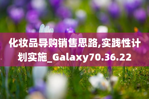 化妆品导购销售思路,实践性计划实施_Galaxy70.36.22