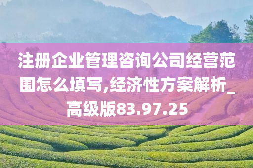 注册企业管理咨询公司经营范围怎么填写,经济性方案解析_高级版83.97.25