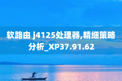 软路由 j4125处理器,精细策略分析_XP37.91.62