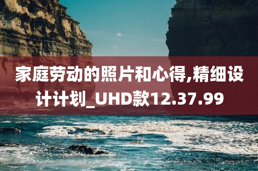 家庭劳动的照片和心得,精细设计计划_UHD款12.37.99