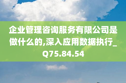 企业管理咨询服务有限公司是做什么的,深入应用数据执行_Q75.84.54