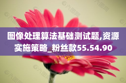 图像处理算法基础测试题,资源实施策略_粉丝款55.54.90