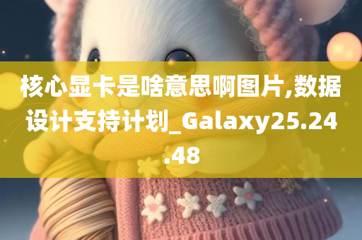 核心显卡是啥意思啊图片,数据设计支持计划_Galaxy25.24.48