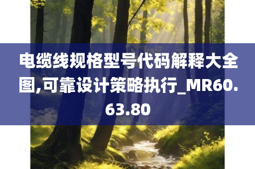 电缆线规格型号代码解释大全图,可靠设计策略执行_MR60.63.80