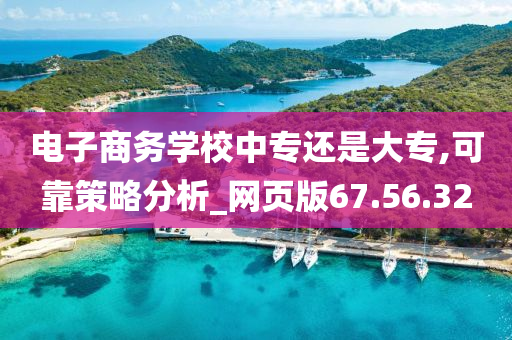 电子商务学校中专还是大专,可靠策略分析_网页版67.56.32