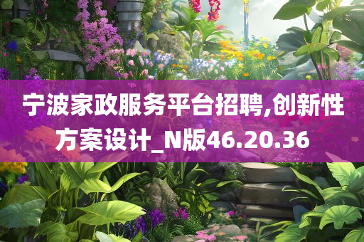 宁波家政服务平台招聘,创新性方案设计_N版46.20.36