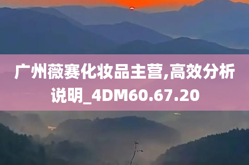 广州薇赛化妆品主营,高效分析说明_4DM60.67.20