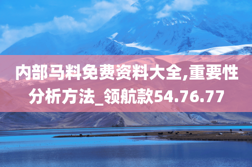 内部马料免费资料大全,重要性分析方法_领航款54.76.77