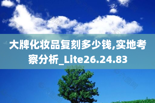 大牌化妆品复刻多少钱,实地考察分析_Lite26.24.83