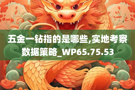 五金一钻指的是哪些,实地考察数据策略_WP65.75.53