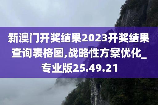 新澳门开奖结果2023开奖结果查询表格图,战略性方案优化_专业版25.49.21