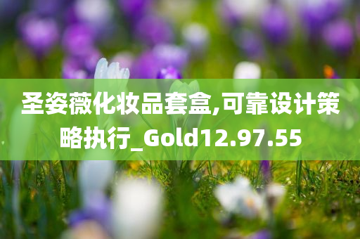 圣姿薇化妆品套盒,可靠设计策略执行_Gold12.97.55