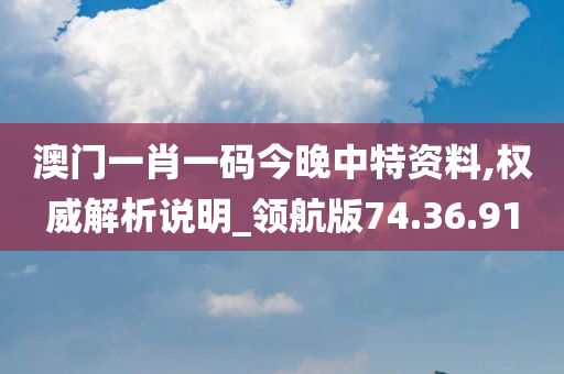 澳门一肖一码今晚中特资料,权威解析说明_领航版74.36.91