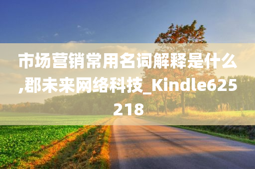 市场营销常用名词解释是什么,郡未来网络科技_Kindle625218