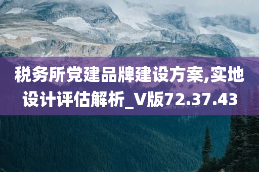 税务所党建品牌建设方案,实地设计评估解析_V版72.37.43