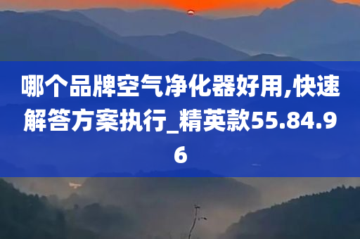 哪个品牌空气净化器好用,快速解答方案执行_精英款55.84.96