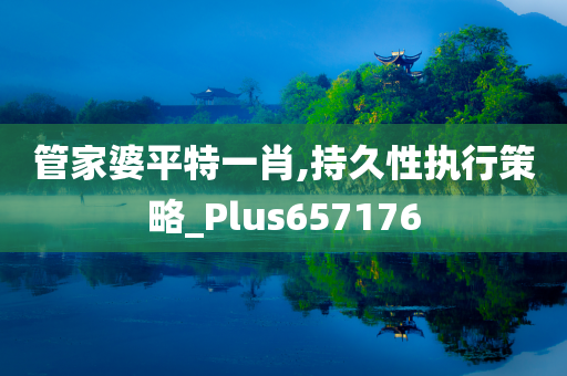 管家婆平特一肖,持久性执行策略_Plus657176