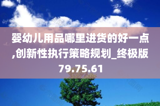 婴幼儿用品哪里进货的好一点,创新性执行策略规划_终极版79.75.61