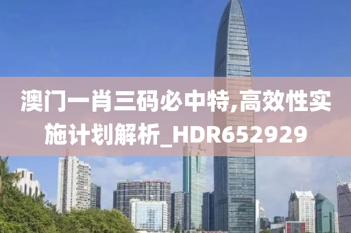 澳门一肖三码必中特,高效性实施计划解析_HDR652929