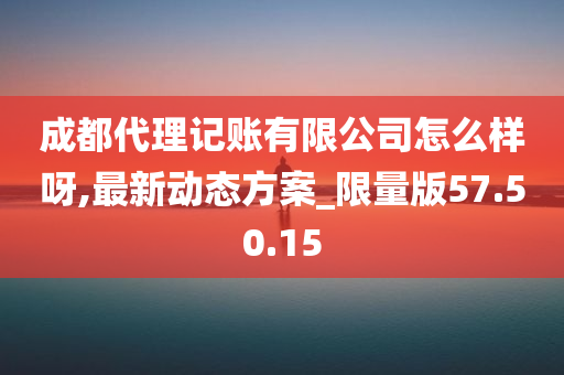 成都代理记账有限公司怎么样呀,最新动态方案_限量版57.50.15