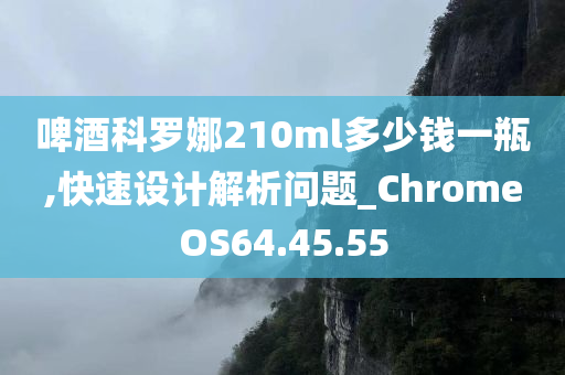 啤酒科罗娜210ml多少钱一瓶,快速设计解析问题_ChromeOS64.45.55