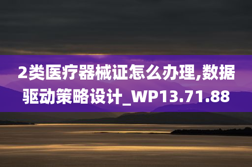 2类医疗器械证怎么办理,数据驱动策略设计_WP13.71.88