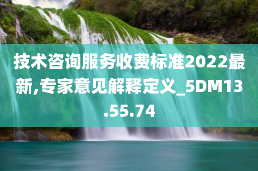 技术咨询服务收费标准2022最新,专家意见解释定义_5DM13.55.74