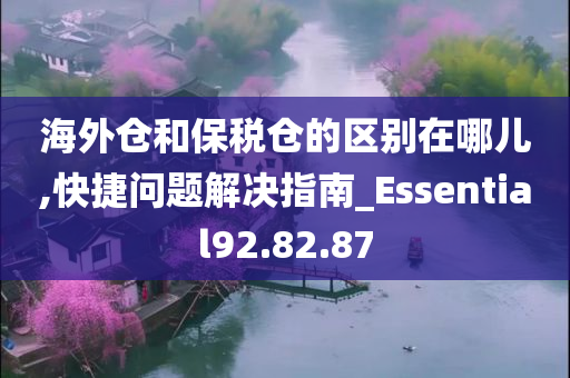 海外仓和保税仓的区别在哪儿,快捷问题解决指南_Essential92.82.87