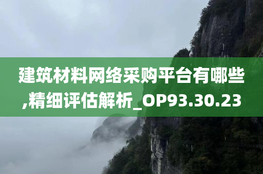 建筑材料网络采购平台有哪些,精细评估解析_OP93.30.23