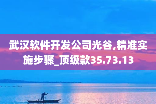 武汉软件开发公司光谷,精准实施步骤_顶级款35.73.13