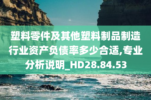 塑料零件及其他塑料制品制造行业资产负债率多少合适,专业分析说明_HD28.84.53