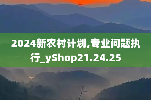 2024新农村计划,专业问题执行_yShop21.24.25