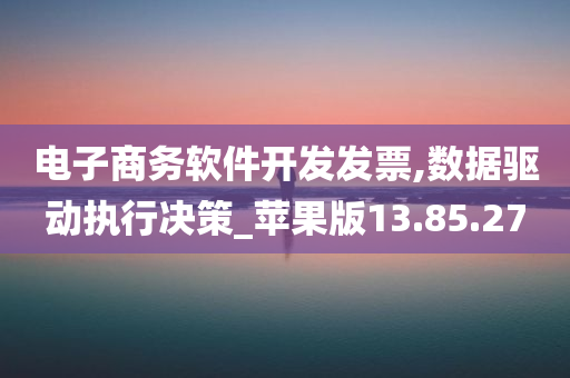 电子商务软件开发发票,数据驱动执行决策_苹果版13.85.27